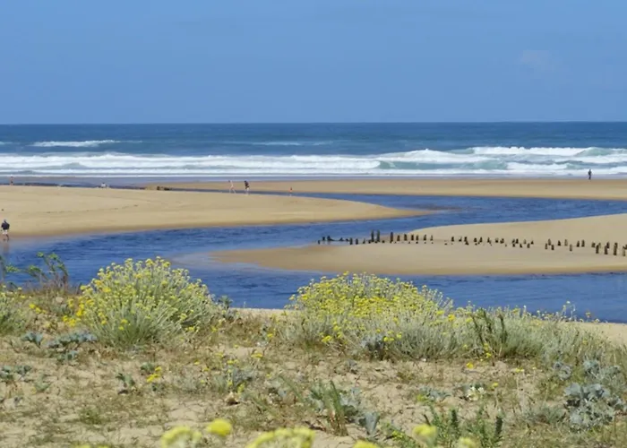 230 M2 With Garden De And Ocean Hébergement de vacances Léon